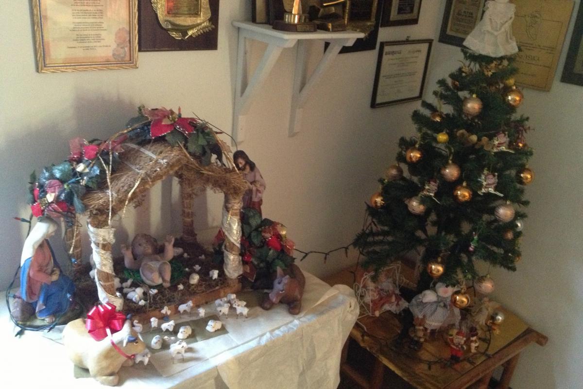 Christmas in El Salvador sparkles with creches and secular displays