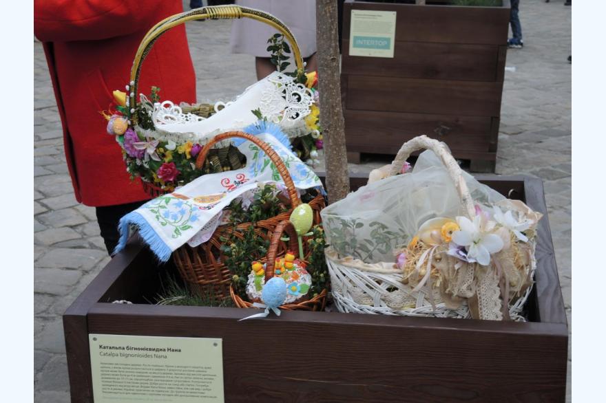 Easter baskets waiting to be blessed in front of the Bernardine Church, Lviv, on the Saturday afternoon before Easter.