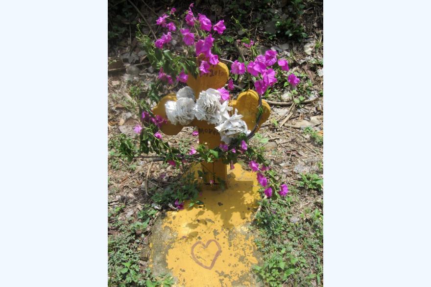 A roadside memorial near La Paz, El Salvador. Thousands of similar memorials, often well-tended, dot the roads in the country. Photo by Marty Kelly.