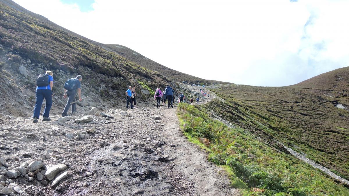 Shrines & Pilgrimage Catholics & Cultures
