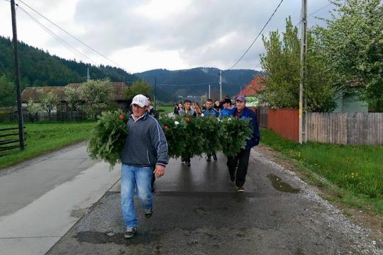 Friends of the groom carry decorated fir boughs to put up in front of the groom's house.